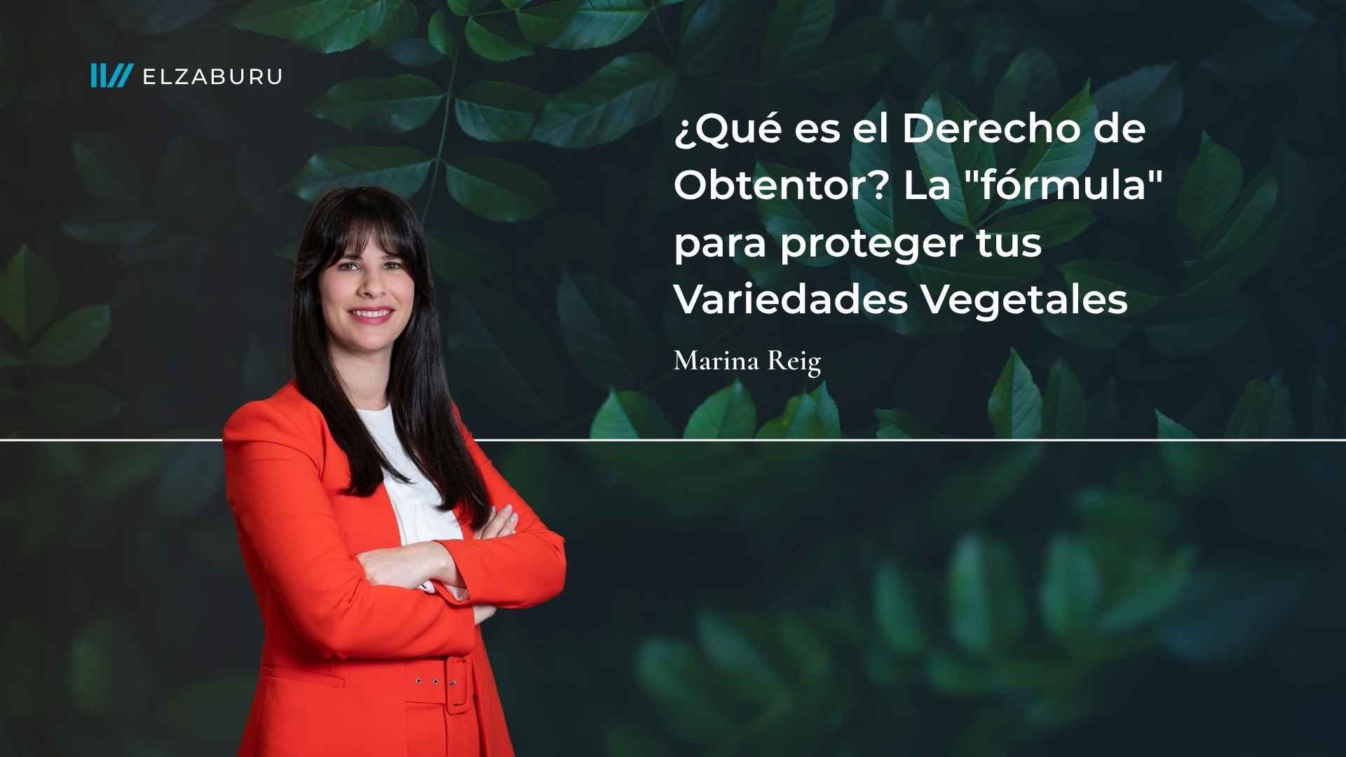 que es el derecho obtentor en las variedades vegetales