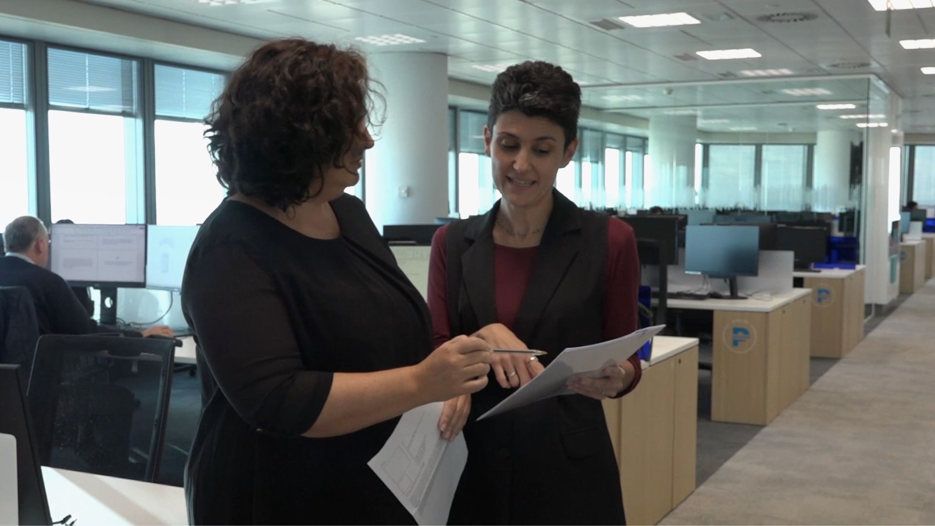 How has the role of the paralegal evolved in law firms?