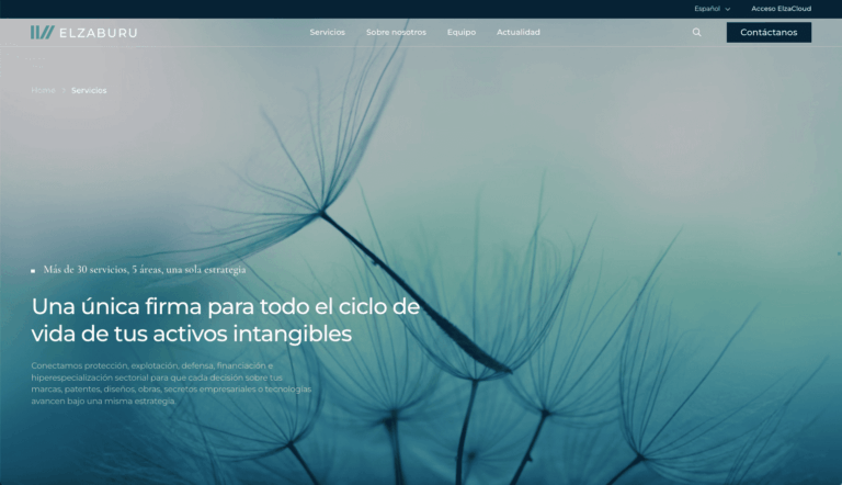 imagen de la página de servicios de la nueva web de elzaburu